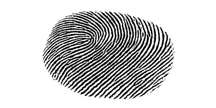 Image Type: Fingerprint